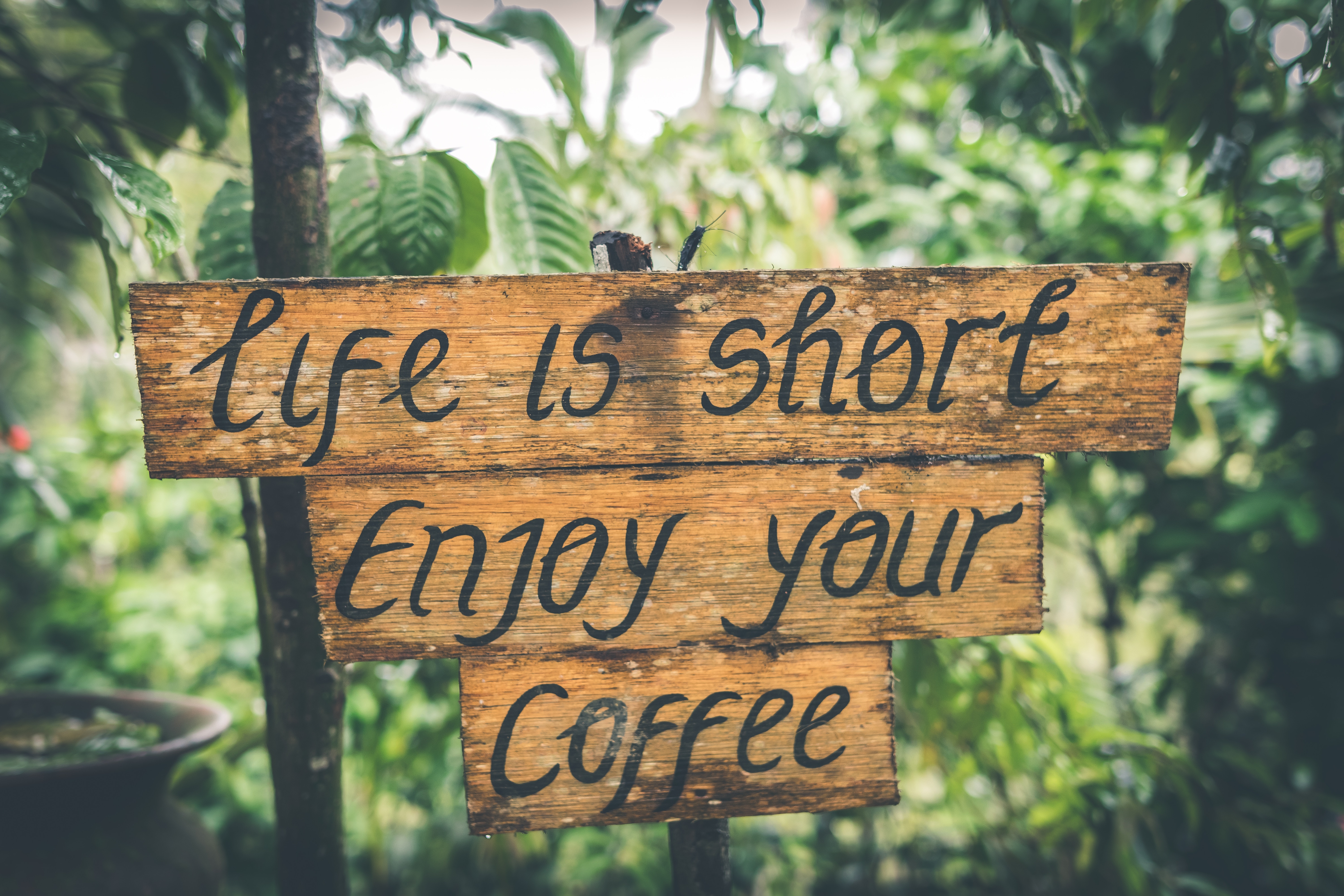 LIFE IS SHORT, ENJOY YOUR mandheling COFFEE. 人生短暫，享受你的 曼特寧 咖啡。 
