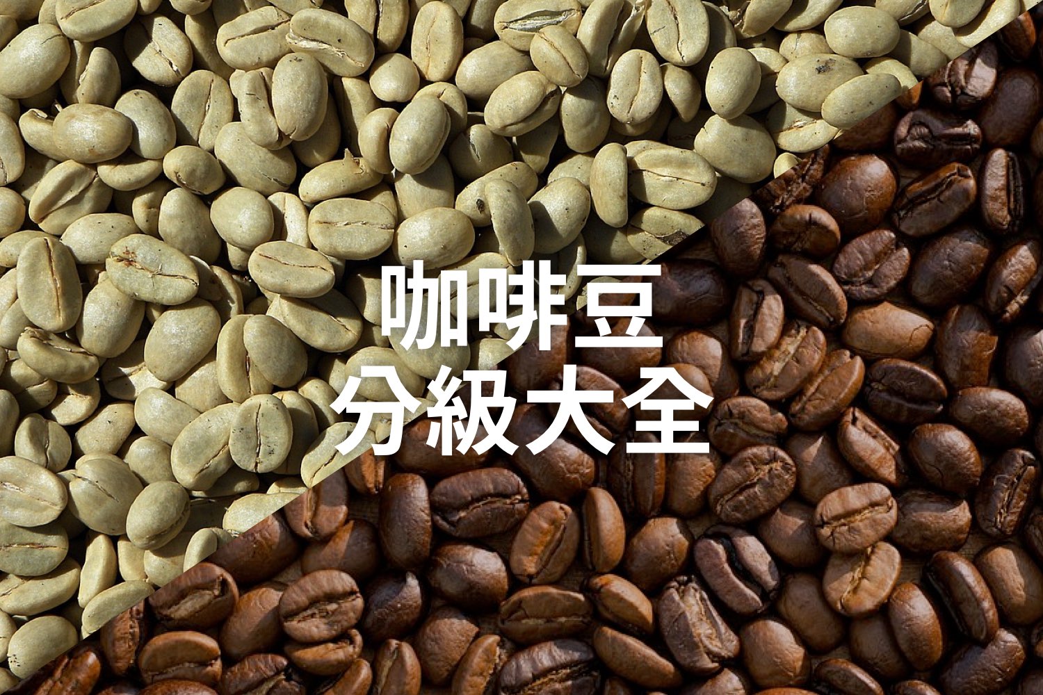 你懂咖啡豆的分級嗎？每個國家都不一樣